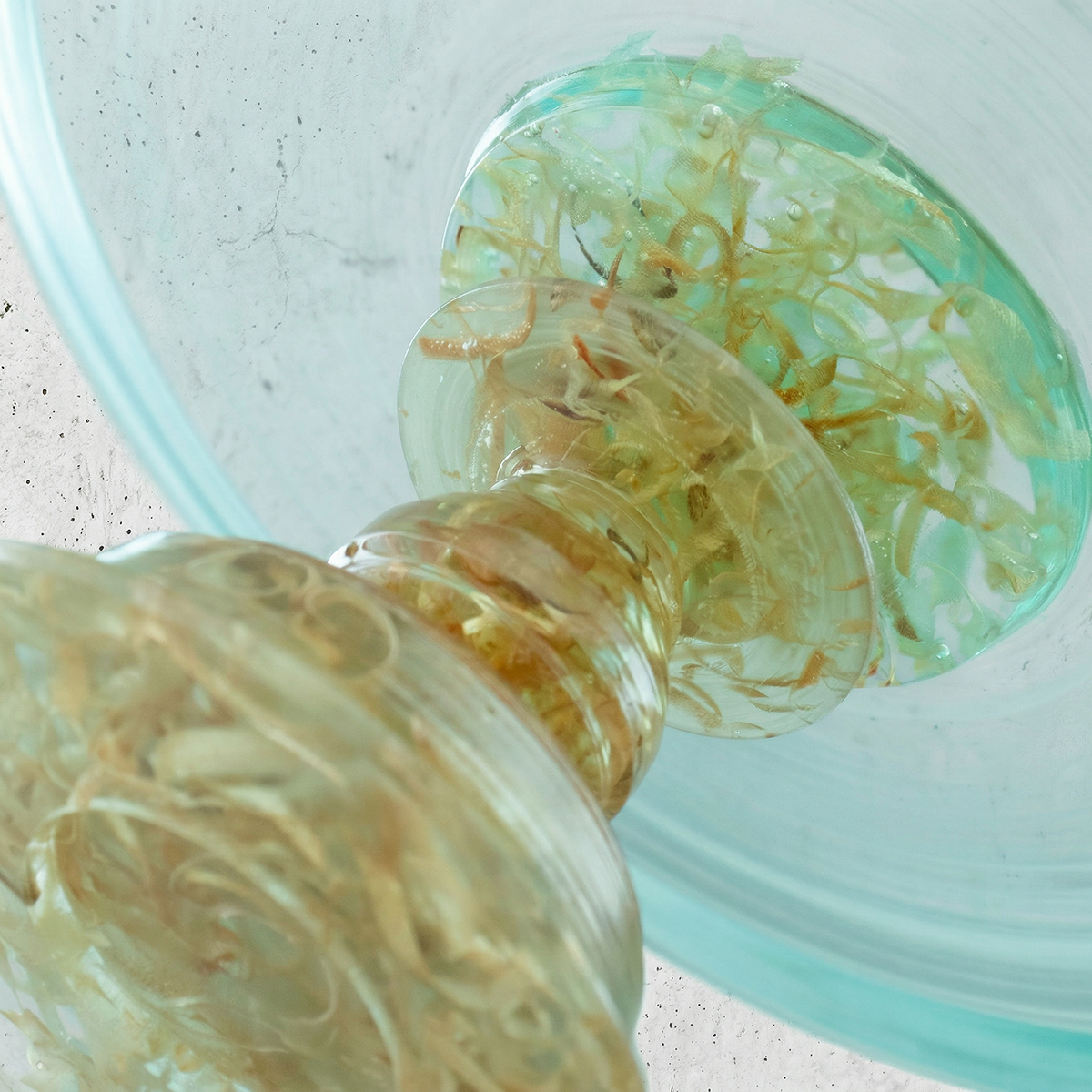 Compote_脚付平皿