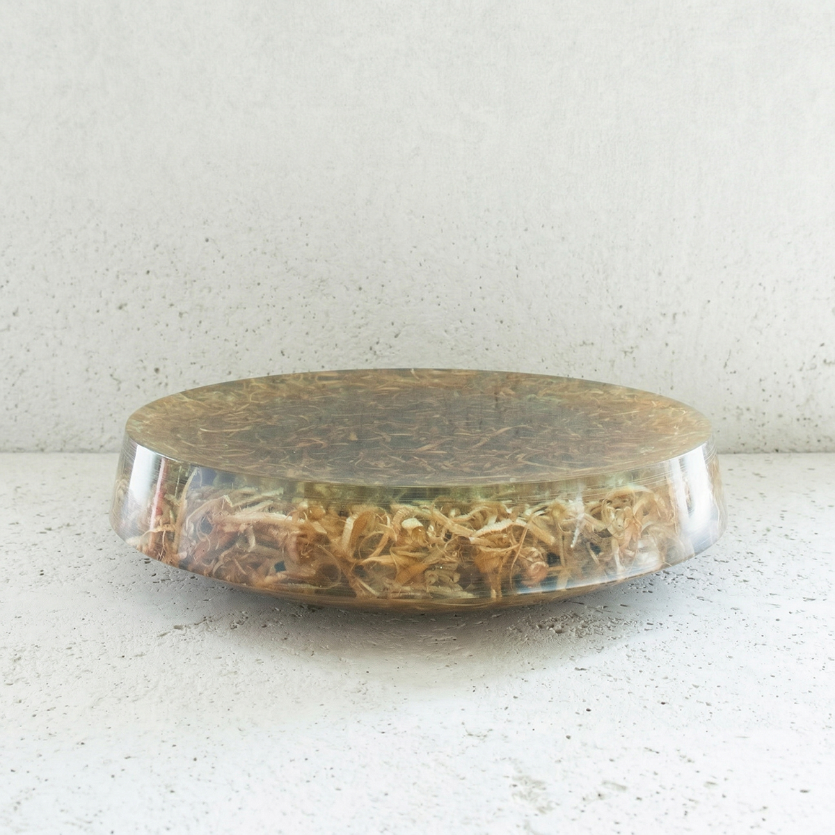 Round plate_台皿