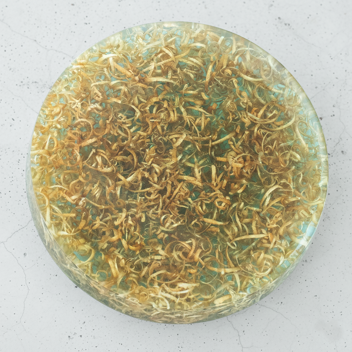Round plate_台皿