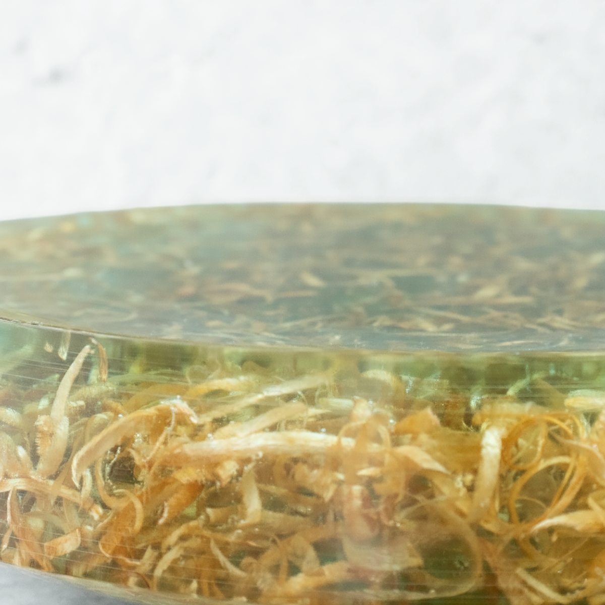 Round plate_台皿