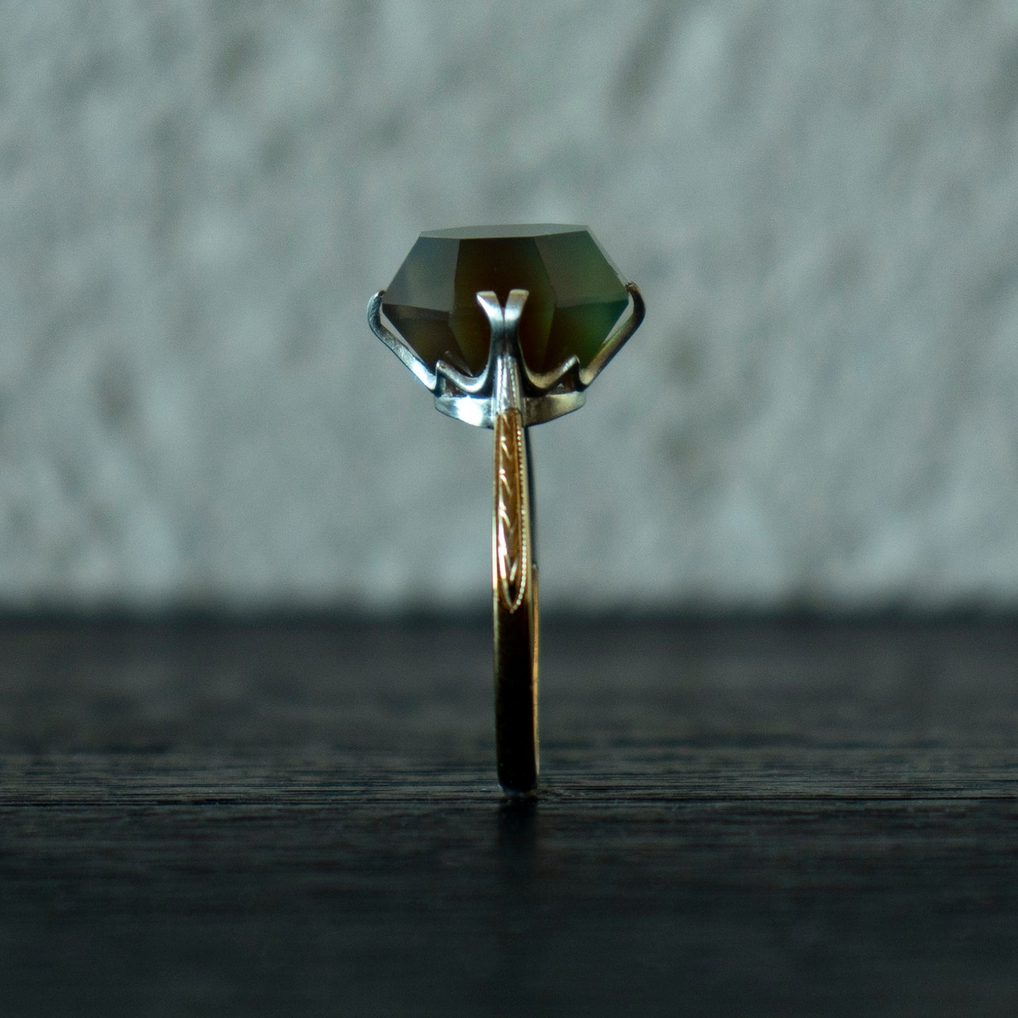 Molded Ring _ Picture Agate