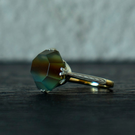 Molded Ring _ Picture Agate